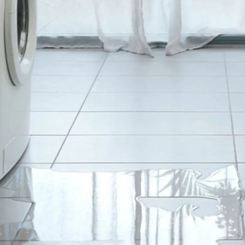 Appliance Leak Cleanup in Sparta, GA
