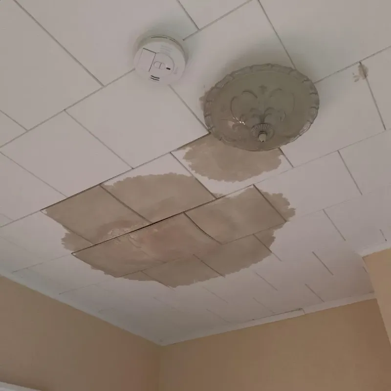 Ceiling Water Damage Repair in Sparta, GA