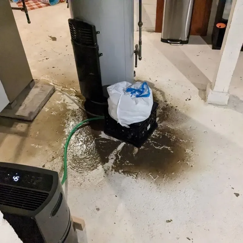 Sewage Backup Cleanup Service in Sparta, GA